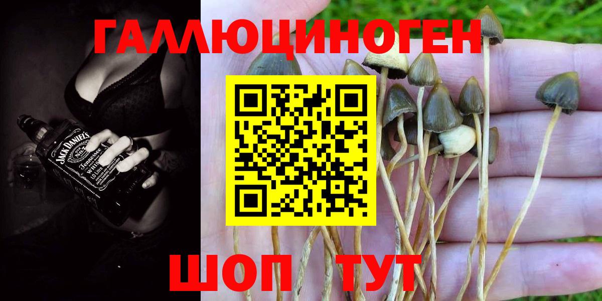 Псилоцибиновые грибы ЛСД Дятьково