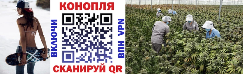 это наркотические препараты  Дятьково  Бошки марихуана OG Kush  МЕГА онион 