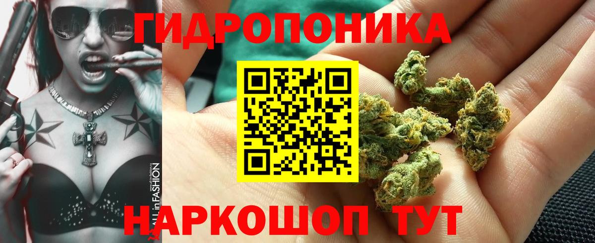 Шишки марихуана Amnesia Дятьково